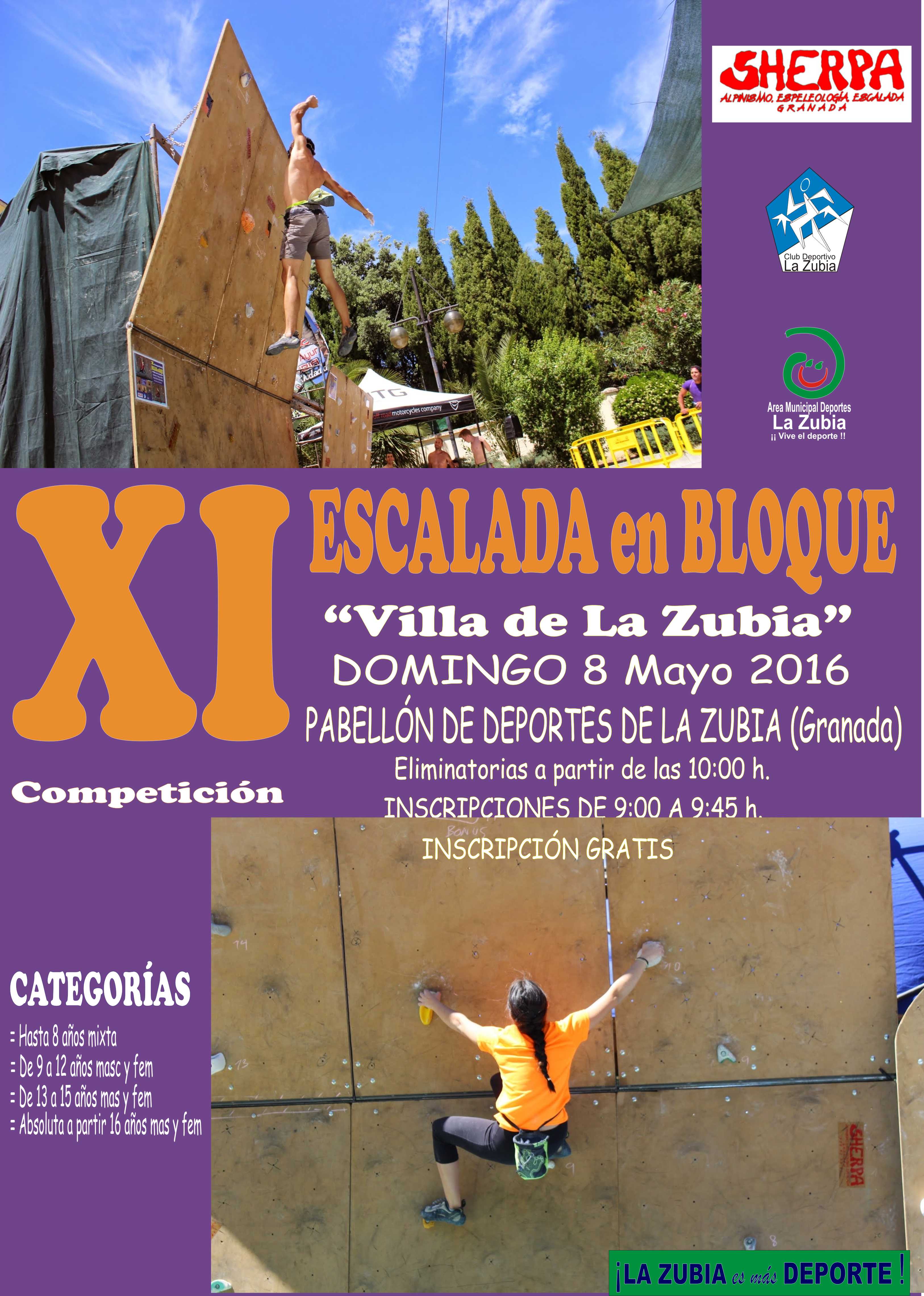 Campeonato Escalada La Zubia 2016